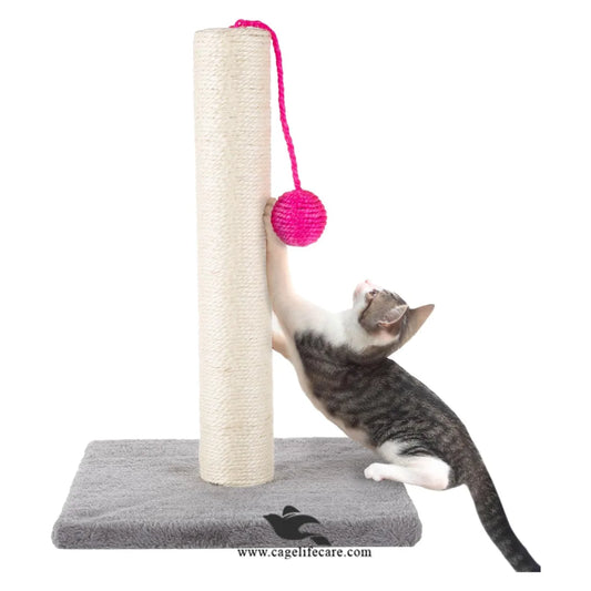 Single pole cat scratcher with play ball 43cm height