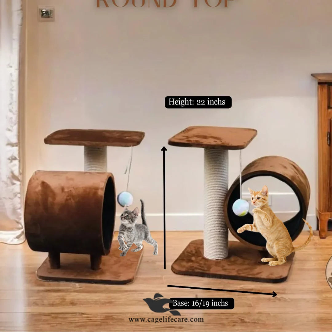 Cage Life Care cat post with perch and play toy