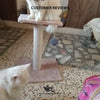 Single Top Cat Scratcher – 46cm with Top Sit & Play Ball