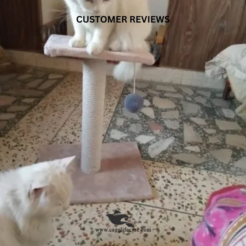 Single Top Cat Scratcher – 46cm with Top Sit & Play Ball