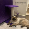 Single Top Cat Scratcher – 46cm with Top Sit & Play Ball