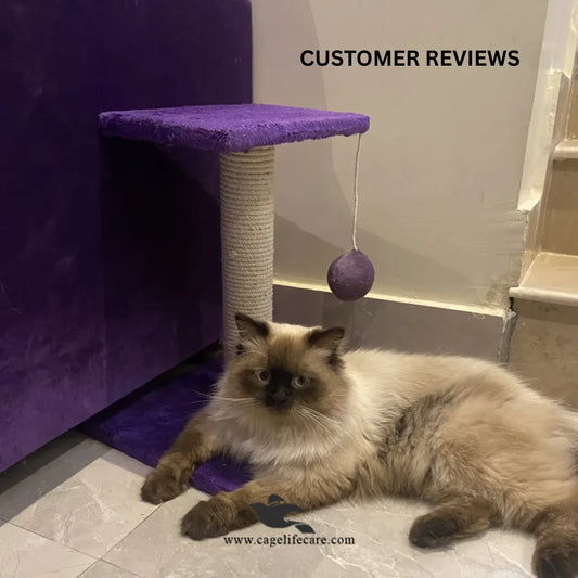Cage Life Care compact cat scratcher for small spaces