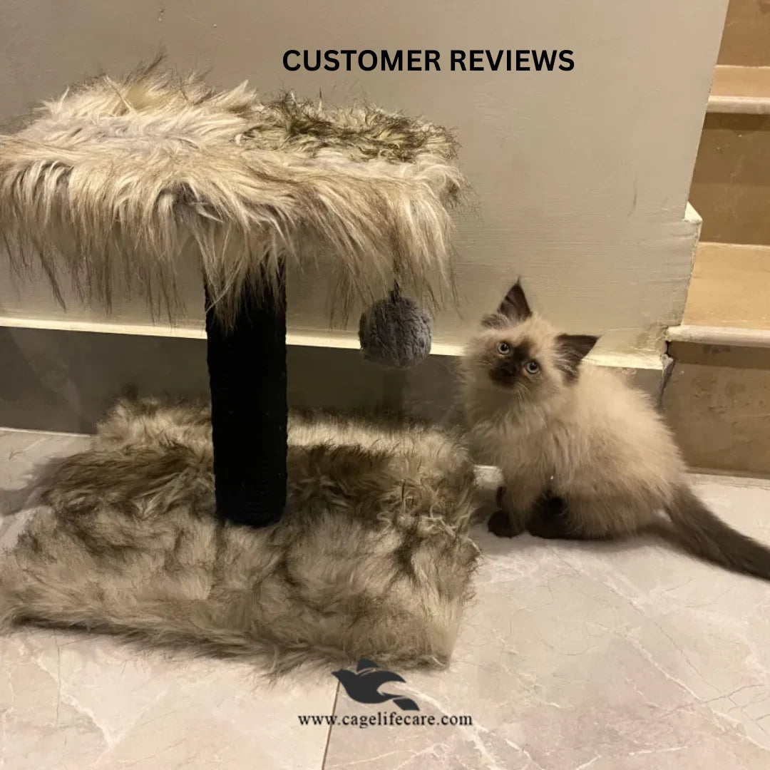 Sisal-wrapped cat scratcher with top sit