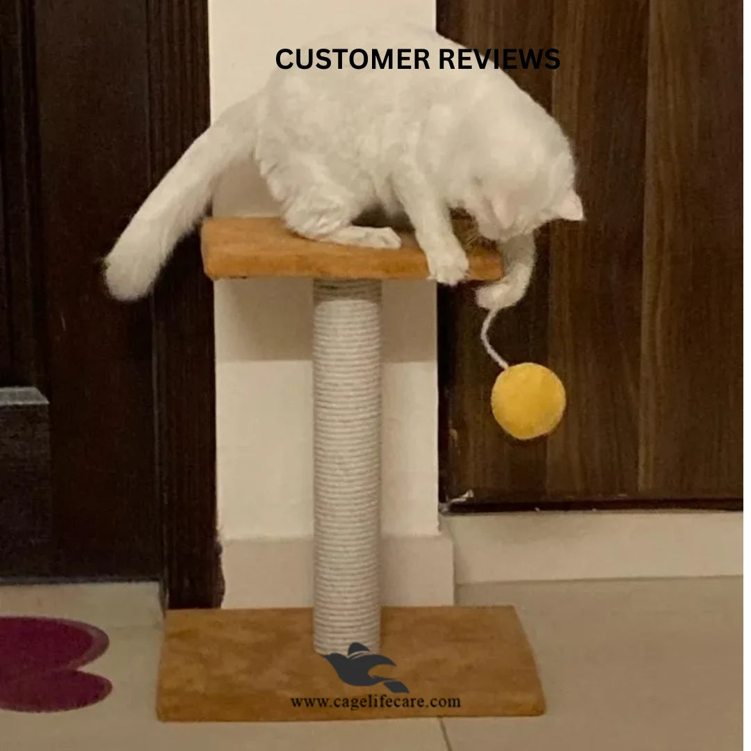 Compact sisal cat scratch post with interactive ball