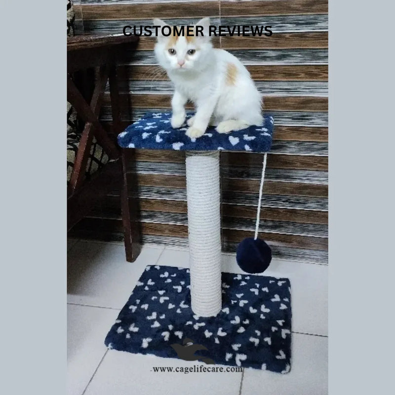 Single Top Cat Scratcher – 46cm with Top Sit & Play Ball