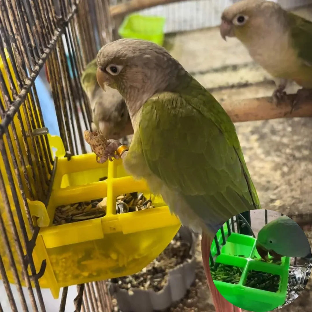 Slider Seed Hopper for Birds – Auto Seed Container _ Sun Counure and Raw Parrot