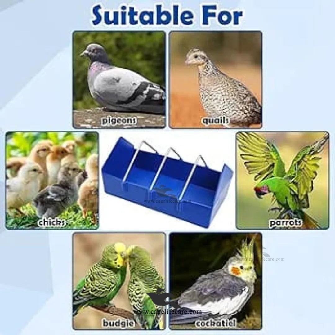 Small Plastic Grill Feeding Tray 20cm - for Birds Pigeons and Poultry