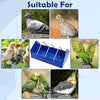 Small Plastic Grill Feeding Tray 20cm - for Birds Pigeons and Poultry