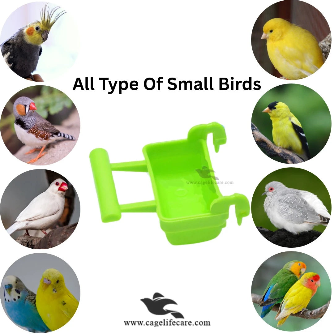 Soft Food Pot With Perch For Small Birds best for all cage birds
like : finches, java, budgies, doves, Lovebirds, Cockatails, 