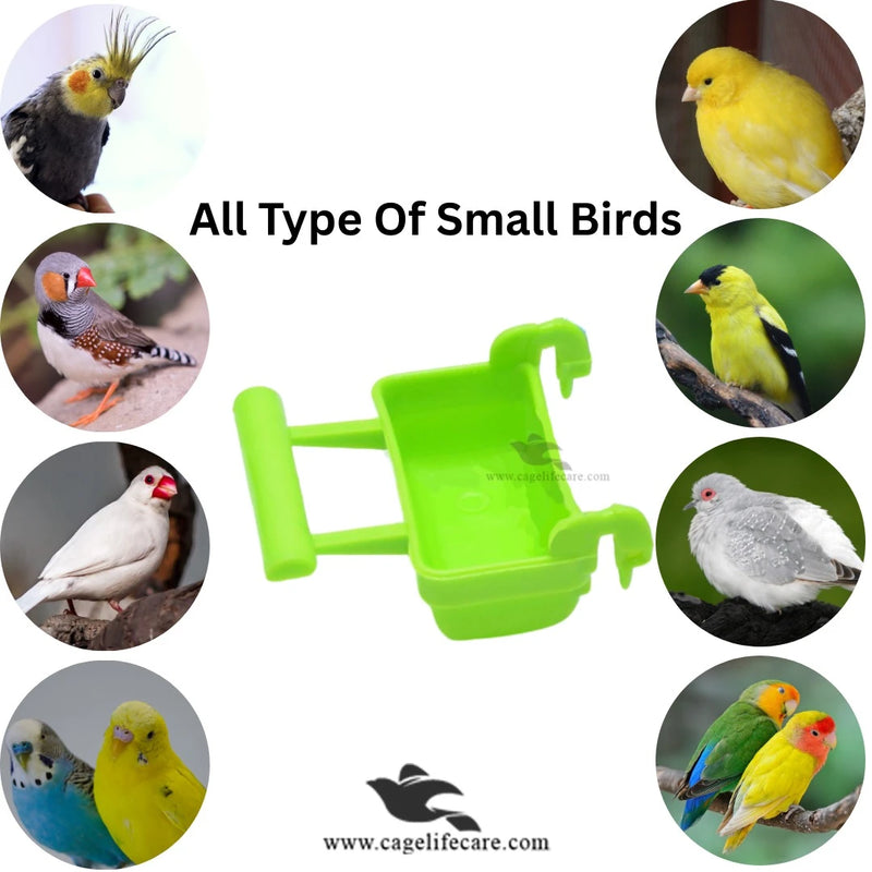 Soft Food Pot With Perch For Small Birds