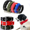 Soft Nylon Dog Collar for Puppies & Dogs – Comfortable, Durable & Adjustable