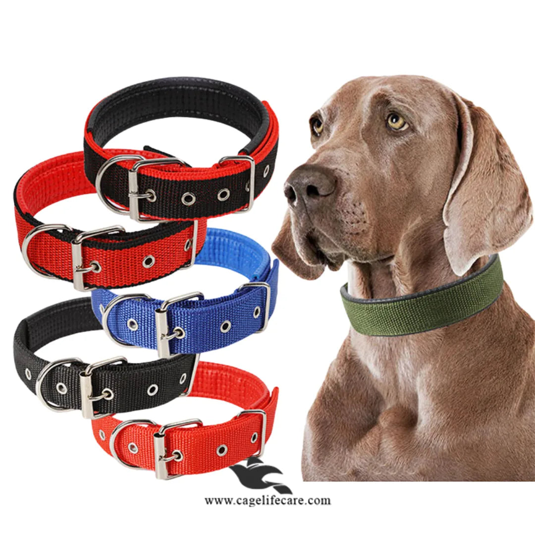 Soft Nylon Dog Collar for Puppies & Dogs – Comfortable, Durable & Adjustable