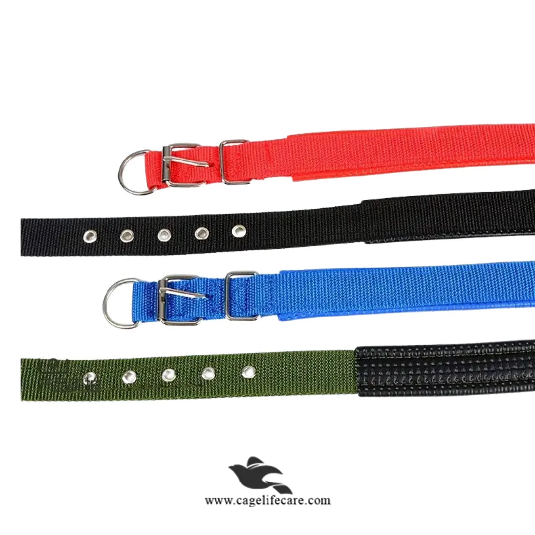 Soft Nylon Dog Collar for Puppies & Dogs – Comfortable, Durable & Adjustable