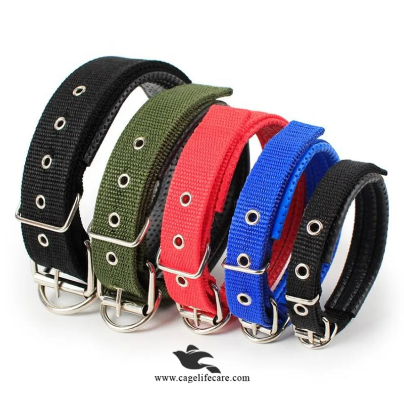 Soft Nylon Dog Collar for Puppies & Dogs – Comfortable, Durable & Adjustable