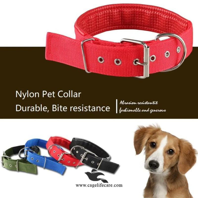Soft Nylon Dog Collar for Puppies & Dogs – Comfortable, Durable & Adjustable