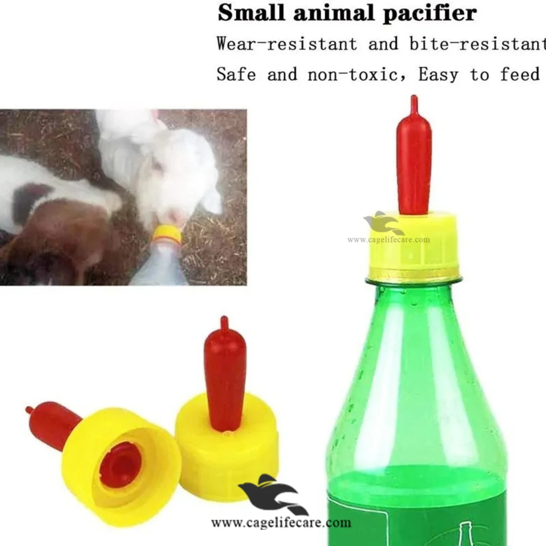 Special Feeding Nipple Drinker – For Lambs, Calves & More