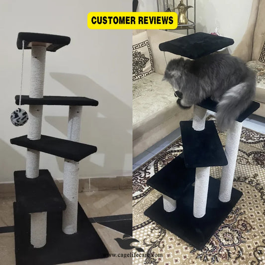 Multi-level indoor cat scratcher with sits and toy