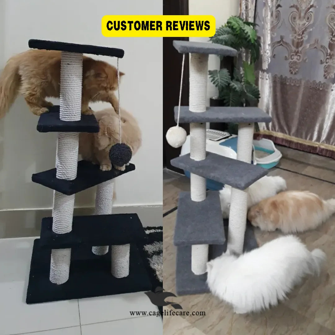 Cat play tower with steps, sits, and hanging ball