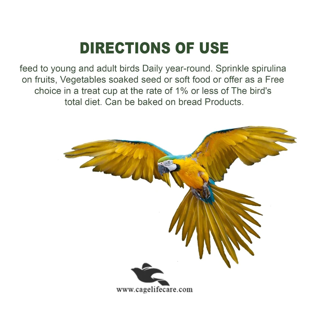 Spirulina Powder 100g – Organic Superfood for Birds