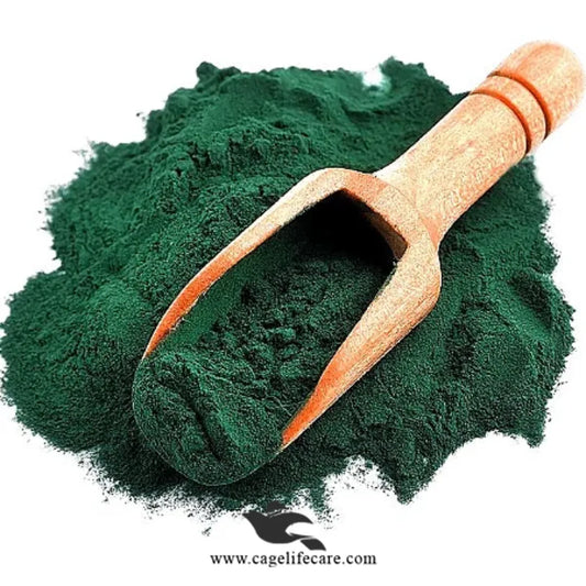 Spirulina Powder 100g – Organic Superfood for Birds