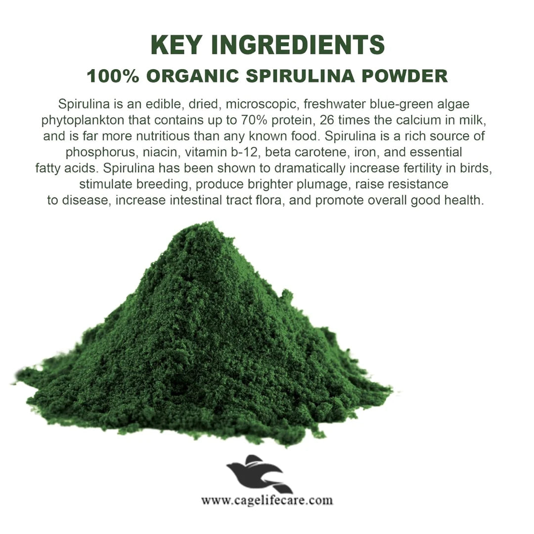 Spirulina Powder 100g – Organic Superfood for Birds