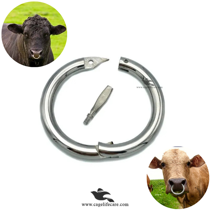 Stainless Steel Bull Nose Ring for Cattle - Small, Medium, Large