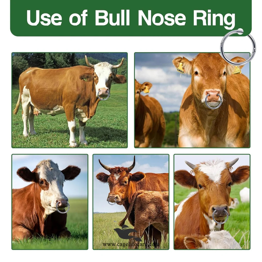 Stainless Steel Bull Nose Ring – Cow Nose Ring Livestock Equipment for Cattle Control & Farm Use