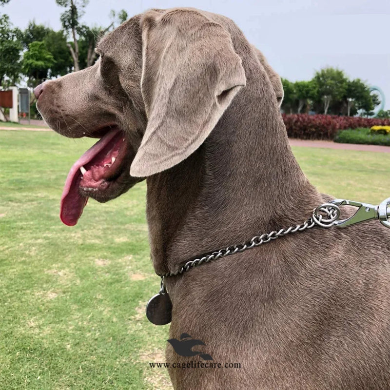 Stainless Steel Choke Chain for Dogs – Small Rings, Hi-Quality