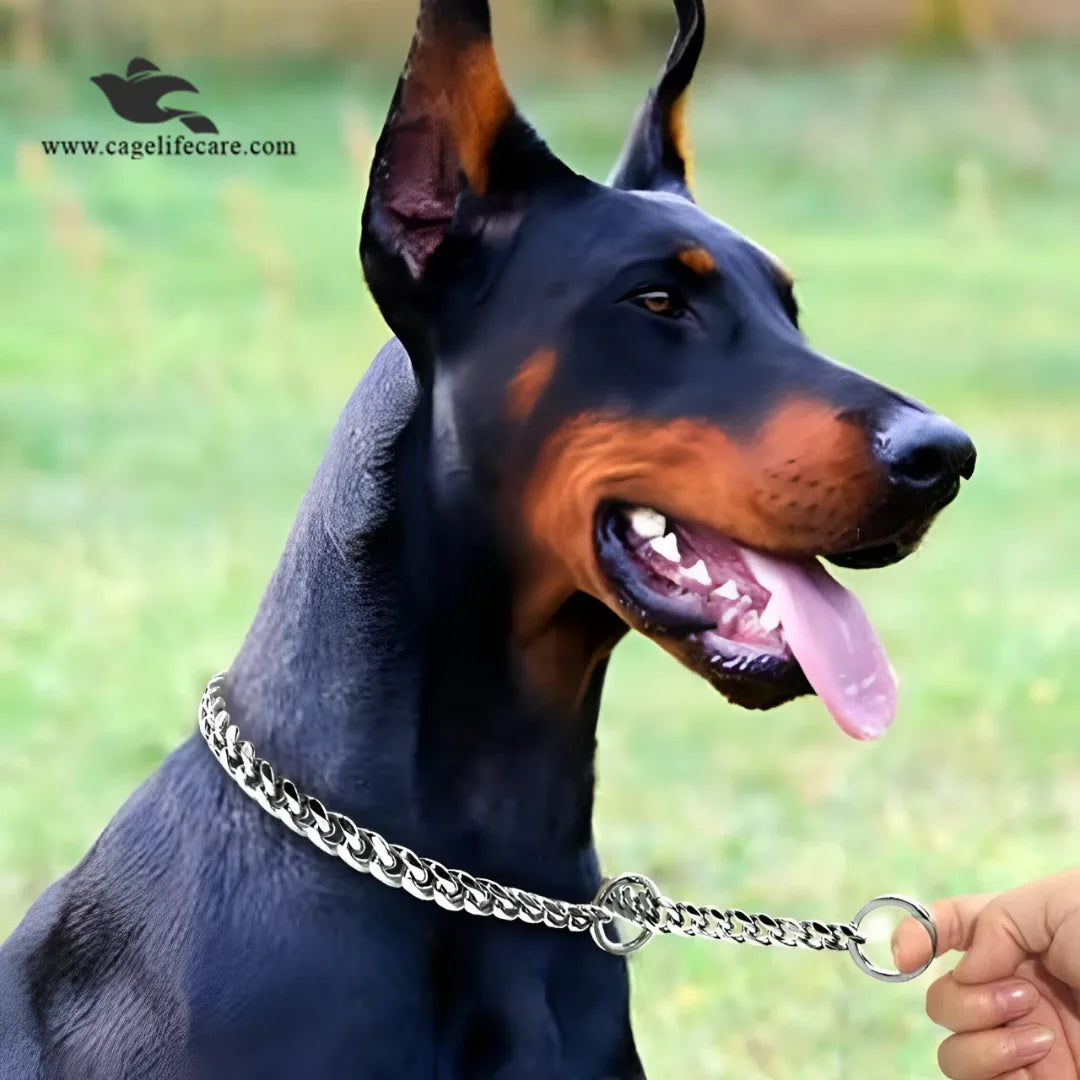 Stainless Steel Choke Chain for Dogs – Small Rings, Hi-Quality