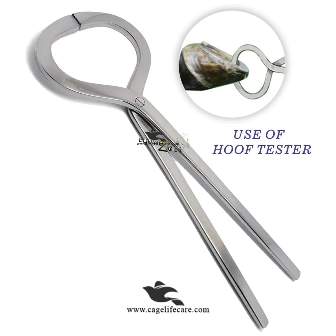 Stainless steel hoof tester for cattle in Pakistan