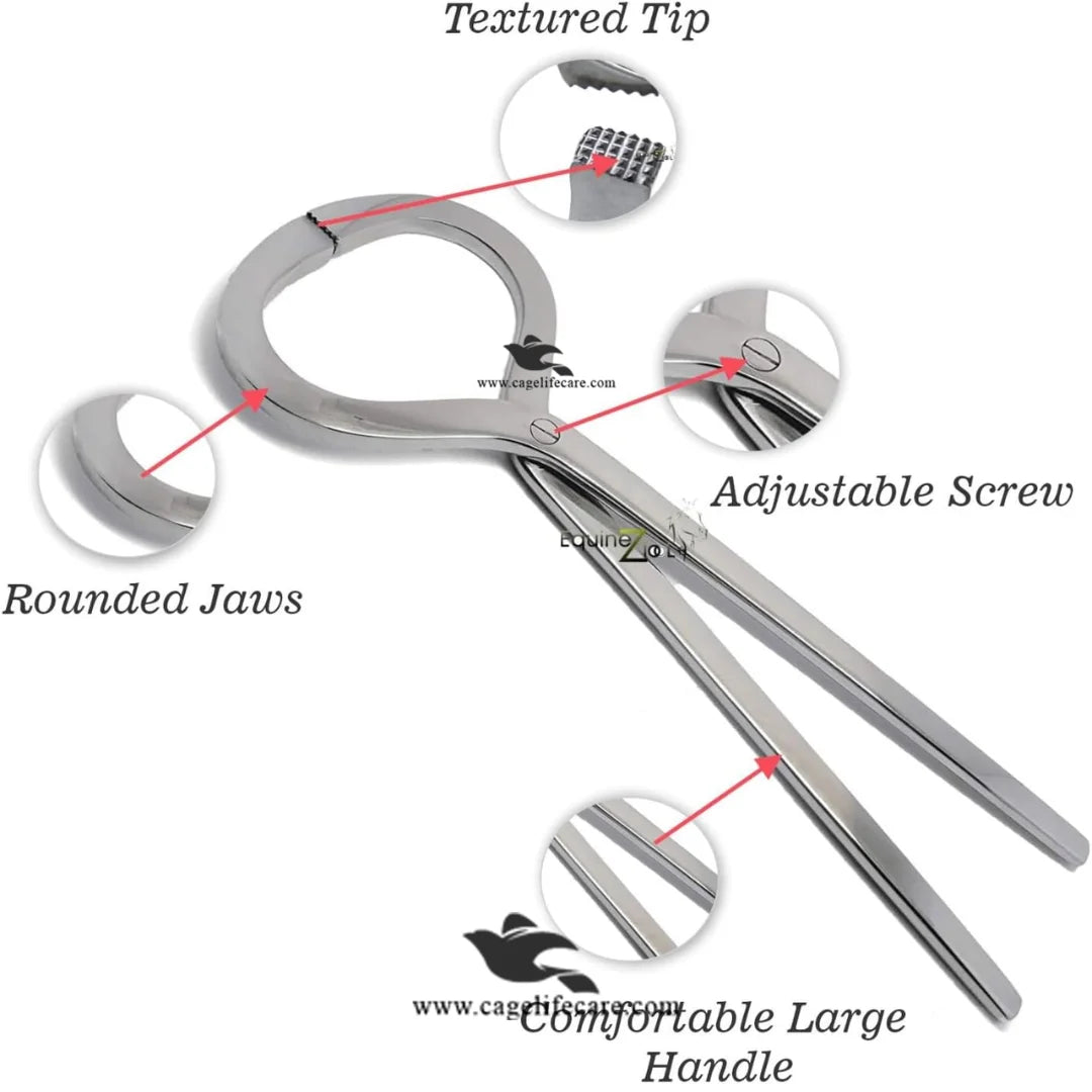 Hoof tester steel for goats and sheep
