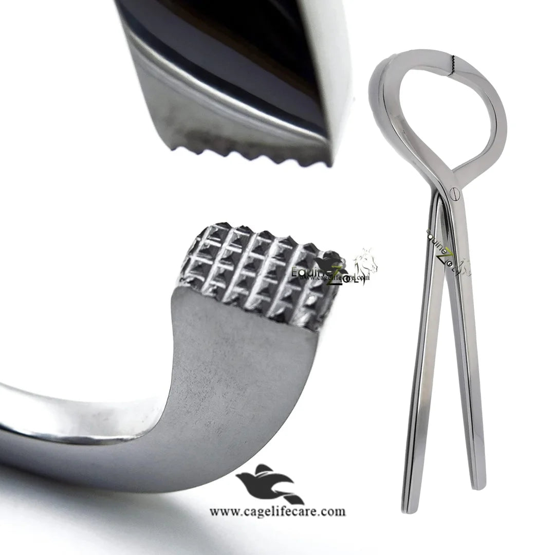 Farrier stainless steel hoof examination tool