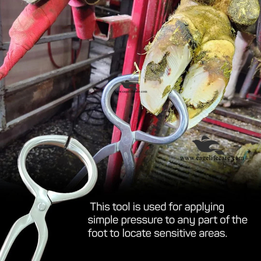 Heavy-duty hoof tester for farm animals