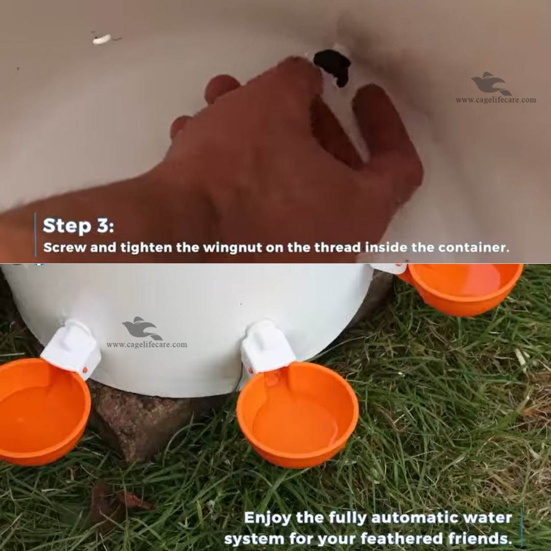 Straight Nozzle Water Auto Cup for Birds & Poultry, Pigeons & Ground Birds