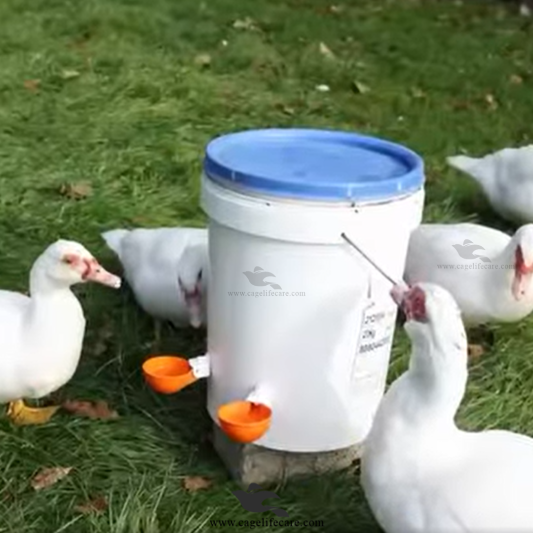 Straight Nozzle Water Auto Cup for Birds & Poultry, Pigeons & Ground Birds