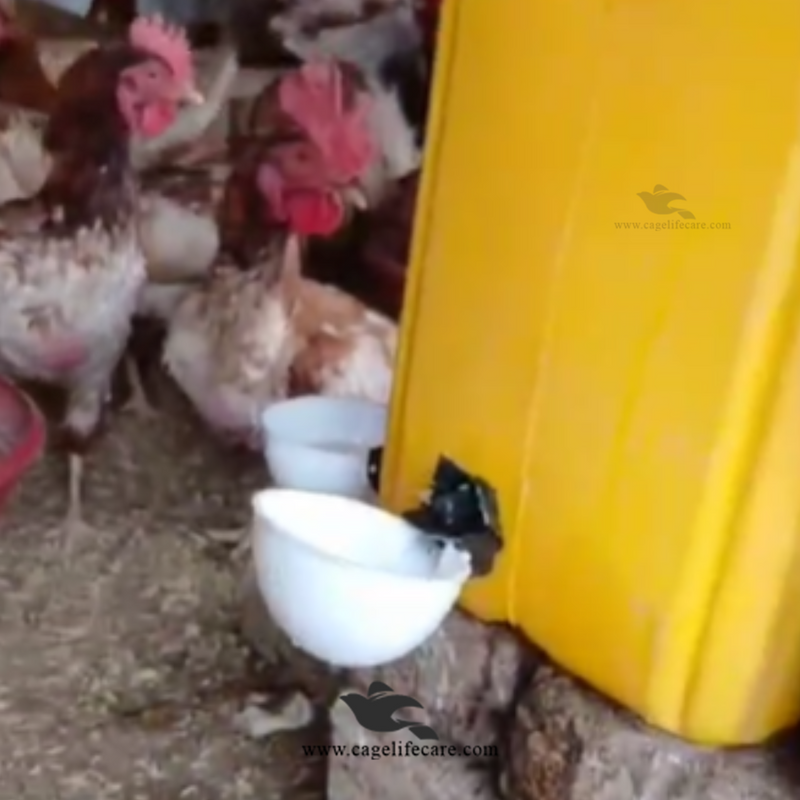 Straight Nozzle Water Auto Cup for Birds & Poultry, Pigeons & Ground Birds