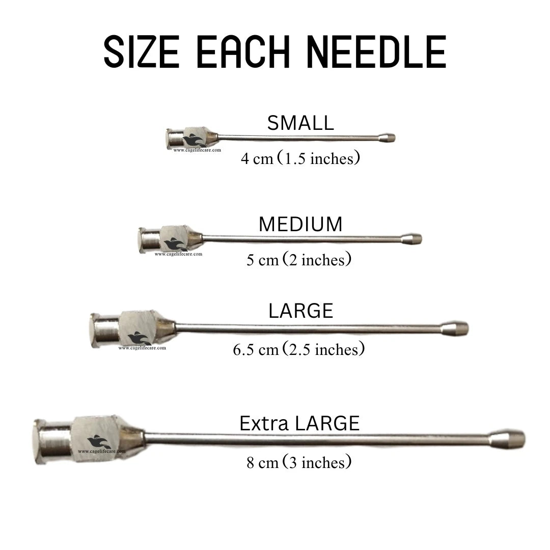 Straight Feeding Crop Needle - Stainless Steel for Bird Hand-Feeding 4 Different Sizes
