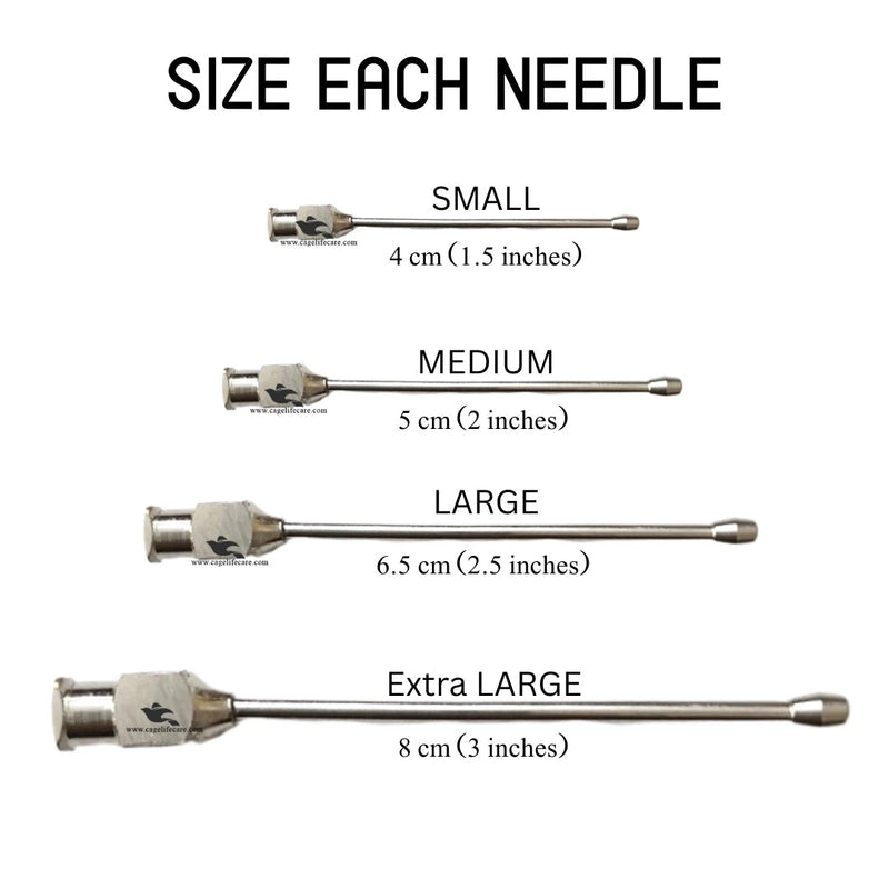 Straight Feeding Crop Needle - Stainless Steel for Bird Hand-Feeding