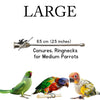Straight Feeding Crop Needle - Stainless Steel for Bird Hand-Feeding