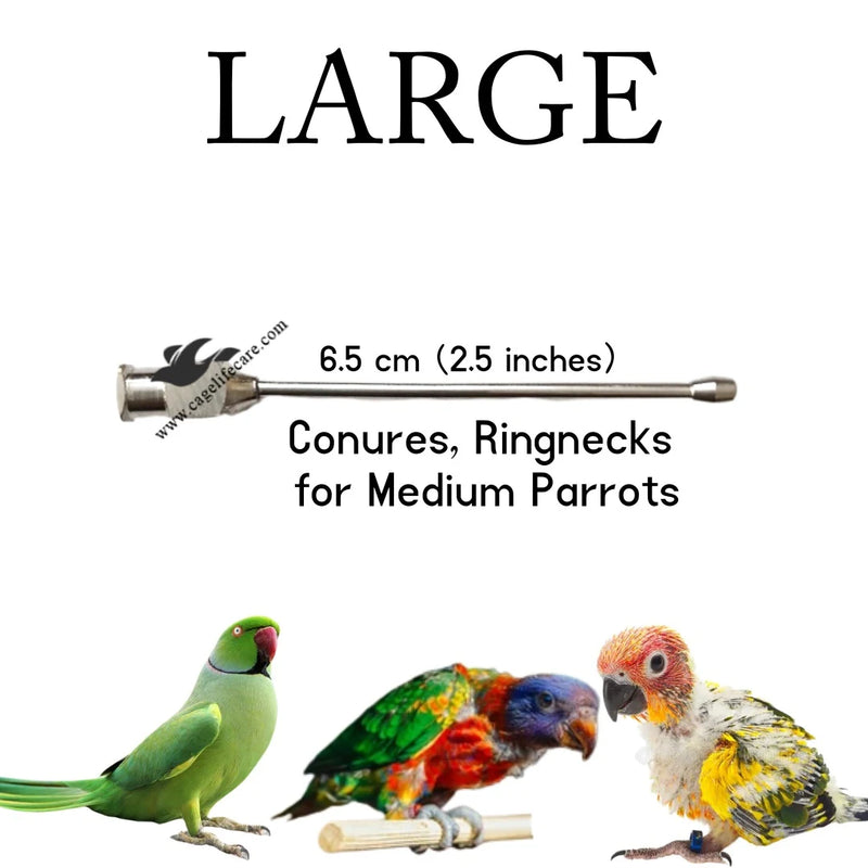 Straight Feeding Crop Needle - Stainless Steel for Bird Hand-Feeding