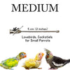 Straight Feeding Crop Needle - Stainless Steel for Bird Hand-Feeding