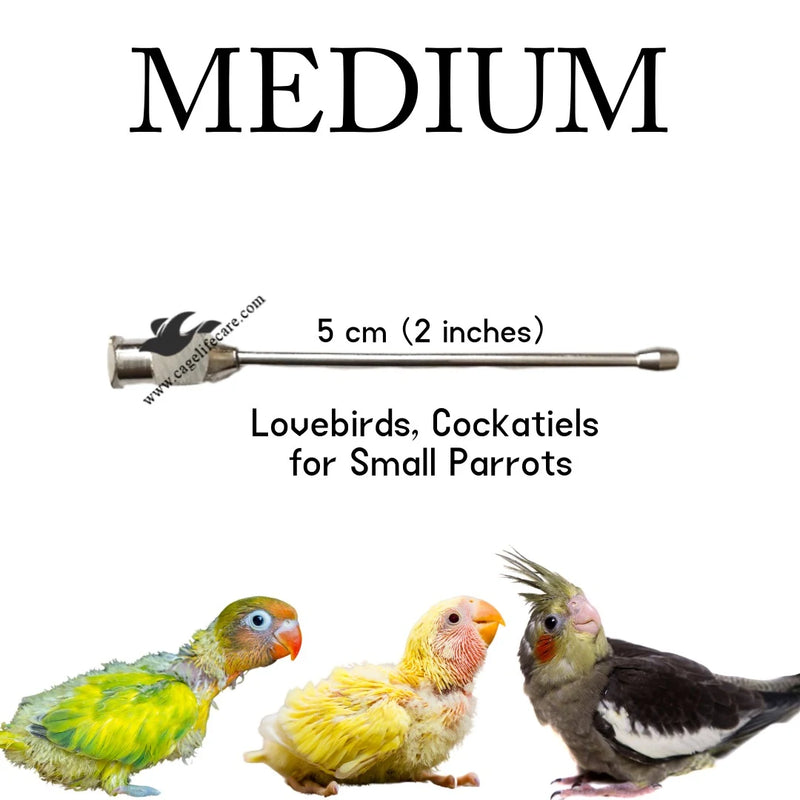 Straight Feeding Crop Needle - Stainless Steel for Bird Hand-Feeding
