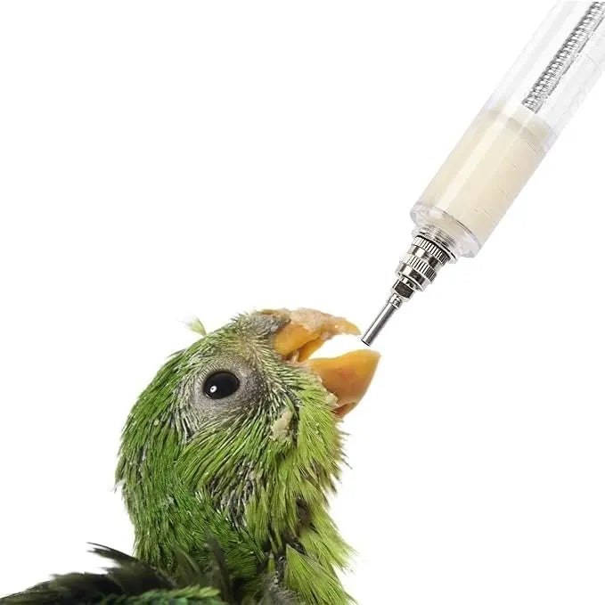 Straight Feeding Crop Needle - Stainless Steel for Bird Hand-Feeding