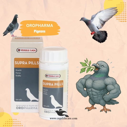 Supra Pills - Boost Pigeons Endurance And Stamina Herbs Full