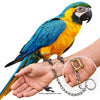 Tamed Bird Chain – Flying Birds Steel Chain Set with Brass Leg Lock | Export Quality