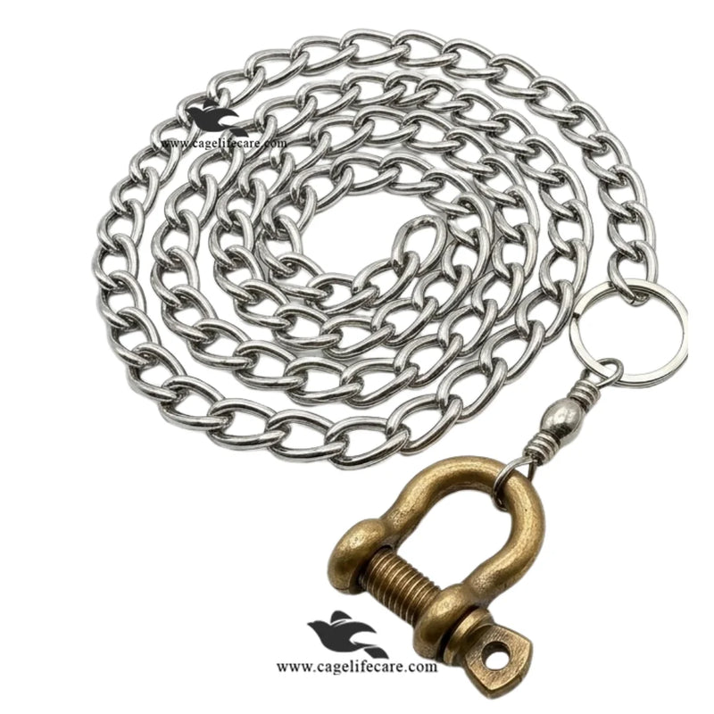 Tamed Bird Chain – Flying Birds Steel Chain Set with Brass Leg Lock | Export Quality