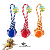 Tennis Ball with Rope Tug Toy – Interactive Chew & Fetch Toy for Dogs & Puppies