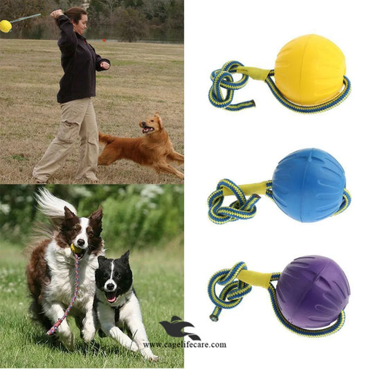 Puppy chewing on rope tug toy with tennis ball