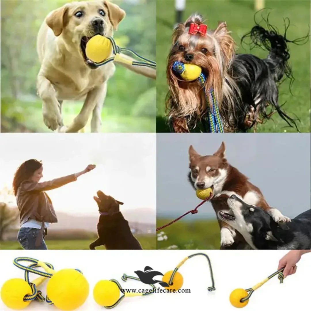 Durable dog toy for indoor and outdoor play