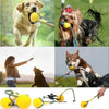 Tennis Ball with Rope Tug Toy – Interactive Chew & Fetch Toy for Dogs & Puppies